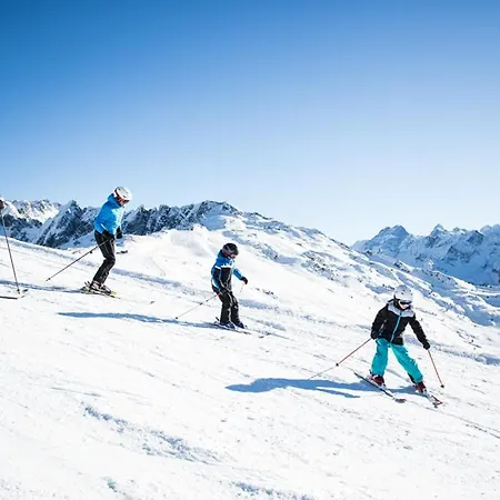 Otel Berggasthof Hochzeigerhaus Jerzens