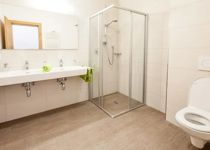 Hotel Berggasthof Hochzeigerhaus 2*